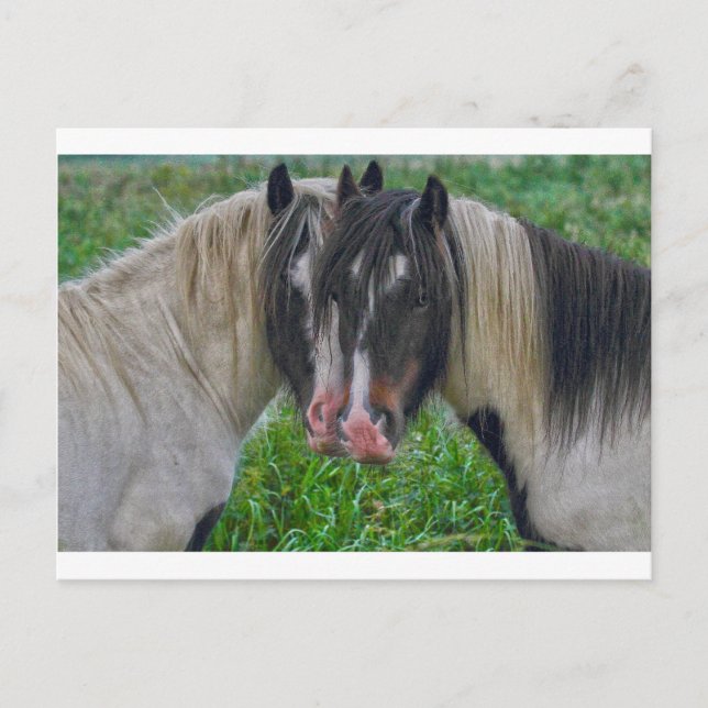 Gefecht Postkarte (Vorderseite)