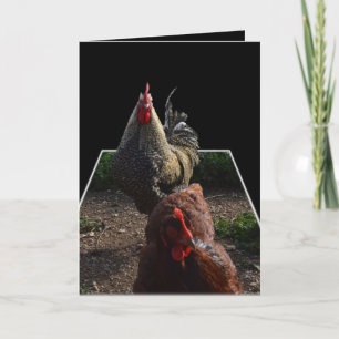 gefickter Fluffy Rooster mit Hen, Karte
