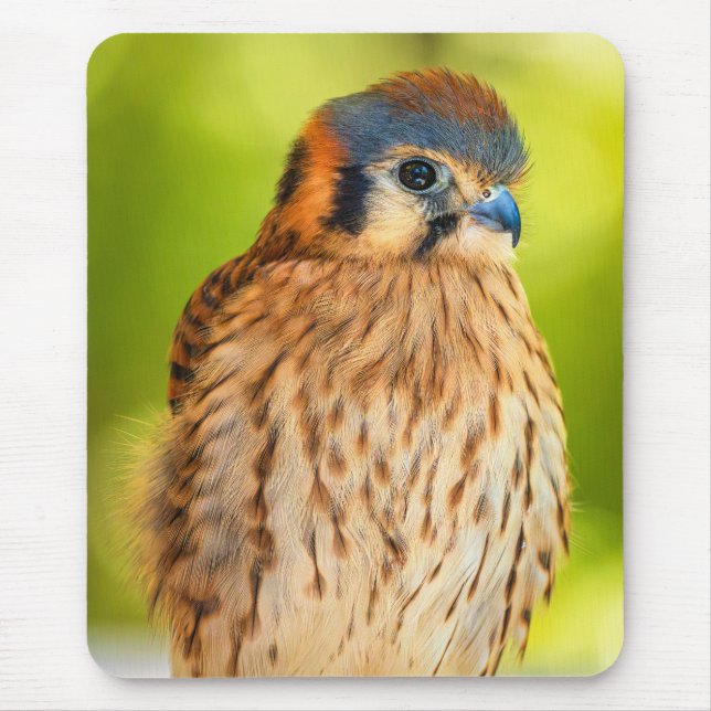 Gefiederte Glut: Der Wachsame Turmfalke Mousepad (Vorne)