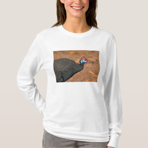 Gefiederte Guinea (Numida meleagris). Afrika, T-Shirt