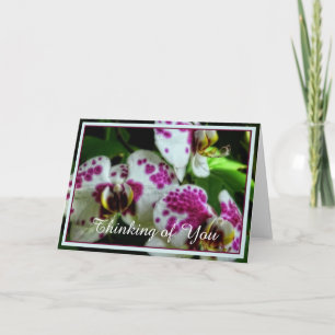 Gefleckte Orchideen Karte
