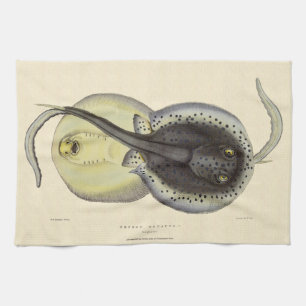 Gefleckte Stachelrochen, Vintage-Meereslebewesen Geschirrtuch