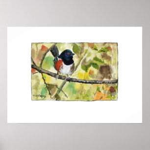 Gefleckter Buchfink, Vogelbild, Wandkunst, Dekorat Poster