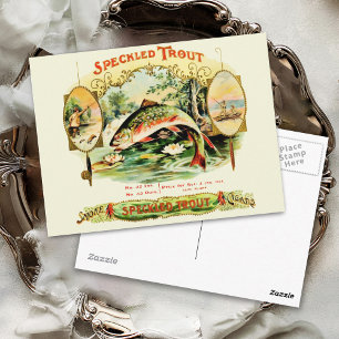 Gefleckter Forellen-Schachtelaufkleber für alte Zi Postkarte