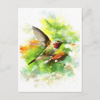 Gefleckter Hummingbird Postkarte