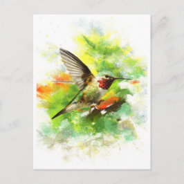 Gefleckter Hummingbird Postkarte