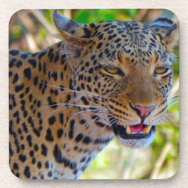 Gefleckter Leopard Getränkeuntersetzer (Vorderseite)