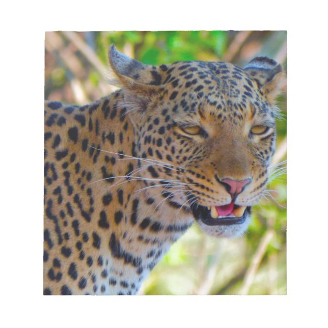 Gefleckter Leopard Notizblock (Vorderseite)