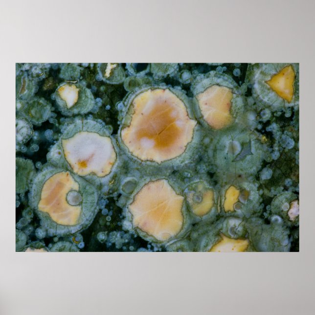 Gefleckter Ozean-Jasper Poster (Vorne)