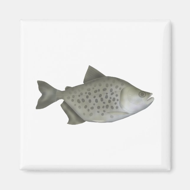 Gefleckter Piranha Magnet (Vorne)