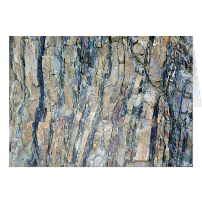 Geflochtener Felsen im Olympischen Nationalpark (Vorderseite (Horizontal))