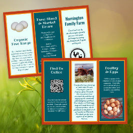 Geflochtener landwirtschaftlicher Betrieb Doppelse Flyer