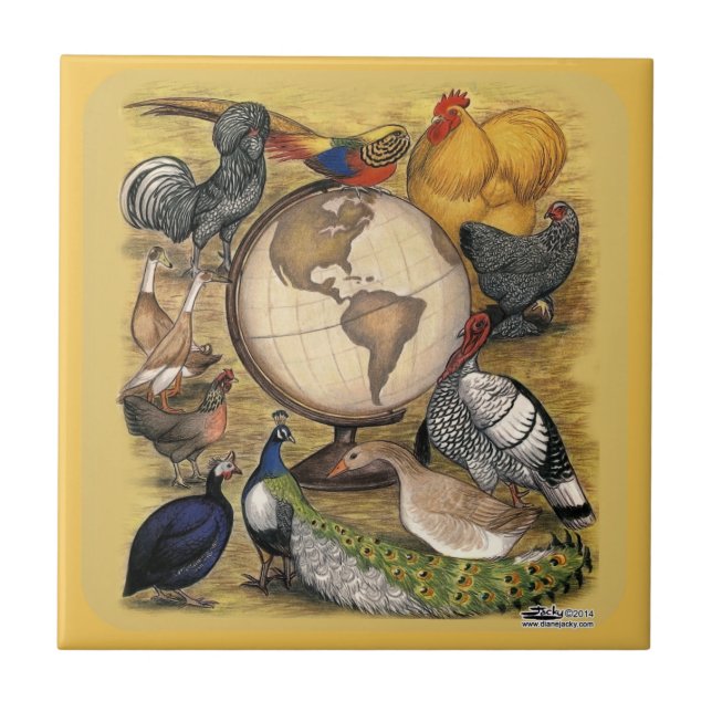 Geflügel der Welt Fliese (Vorderseite)