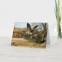 Geflügel im Flug im Herbst unverbaute Notecard