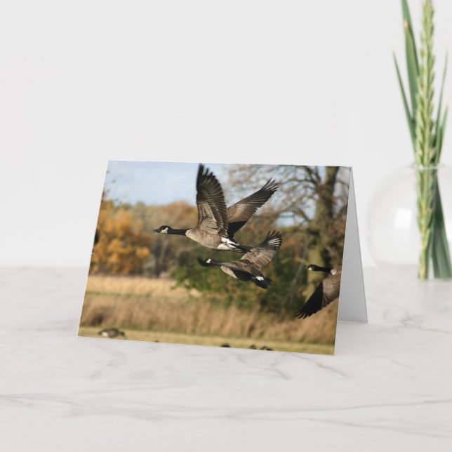 Geflügel im Flug im Herbst unverbaute Notecard Karte (Vorderseite)