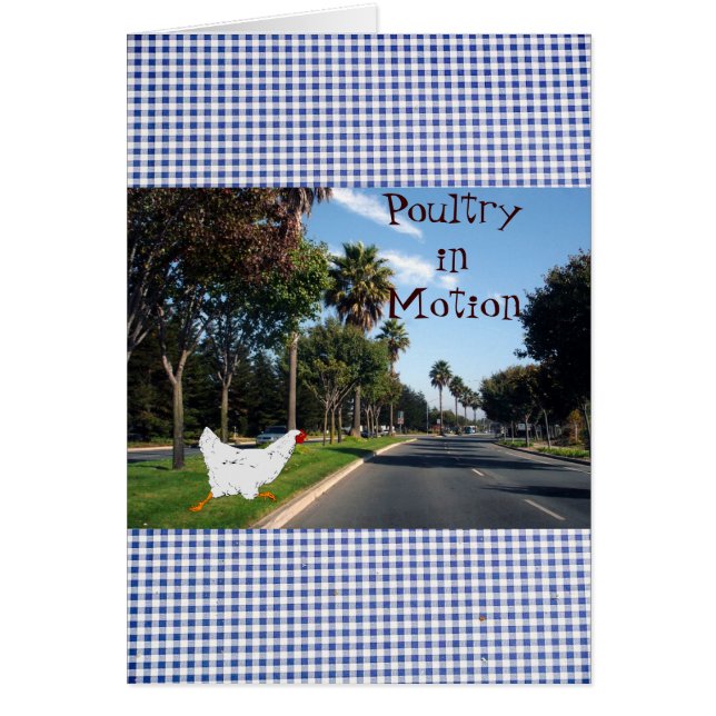 Geflügel in Bewegung (Vorne)