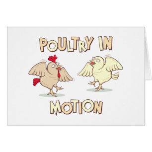 Geflügel in der Bewegung