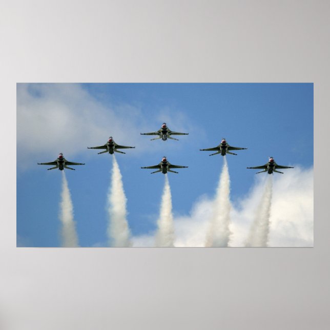 Geflügel in der Formation Poster (Vorne)