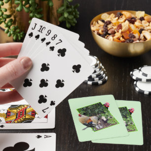 **"Geflügel spielen: Hühnerverstecken und suchen i Spielkarten