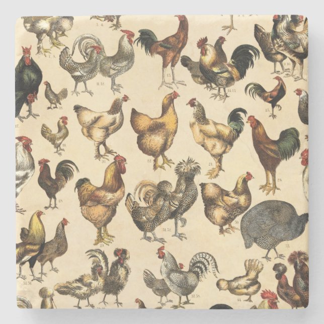 Geflügelfarm-Liste und Hen Art Steinuntersetzer (Vorderseite)