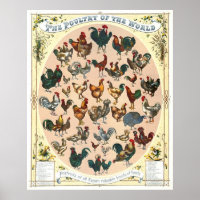 Geflügelrassen 1868