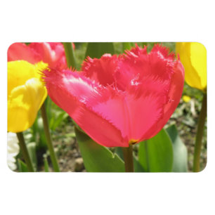 Gefranste Tulpen Premium Magnet