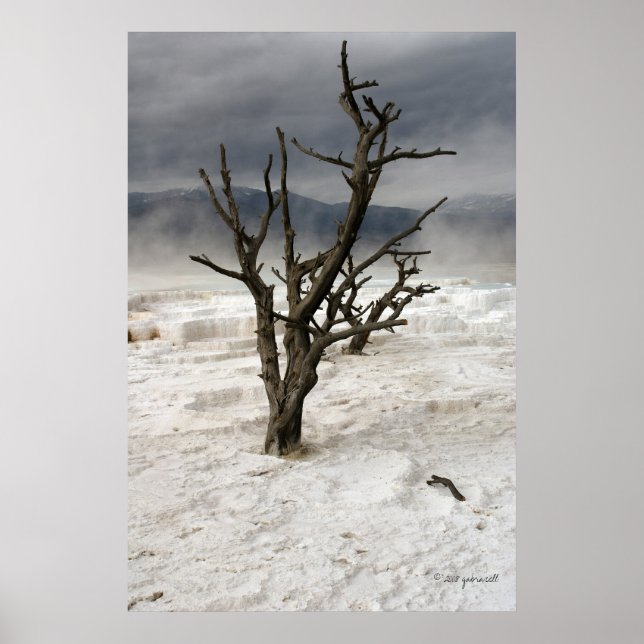 Gefrierfach Poster (Vorne)