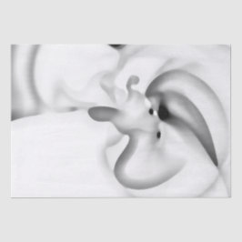 gefroren: Abstrakt, grau, weiß und schwarz Seidenpapier