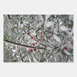 gefroren geschenkpapier set