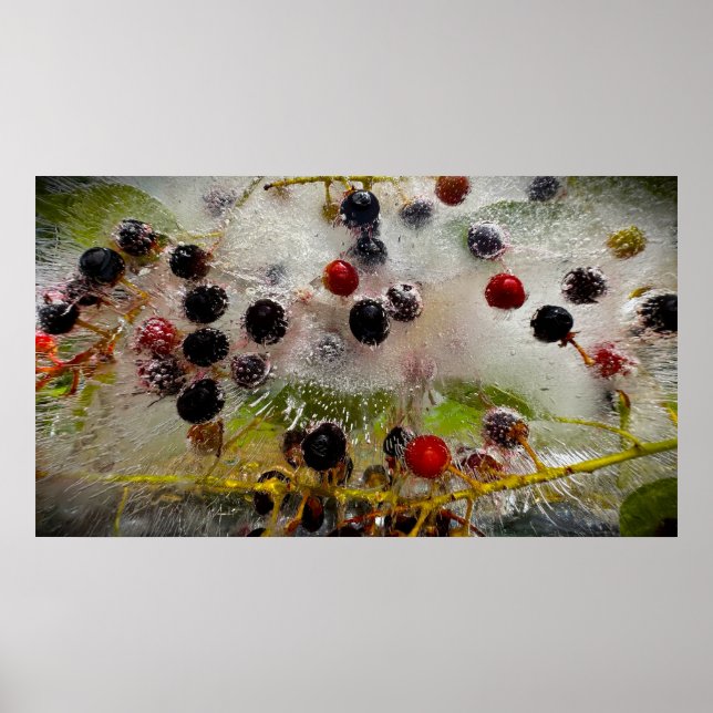 Gefrorene Beeren,  Poster (Vorne)