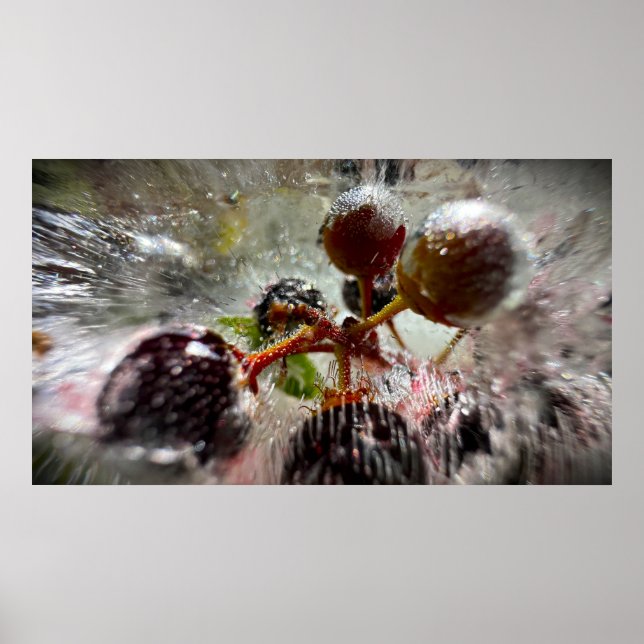Gefrorene Beeren,  Poster (Vorne)