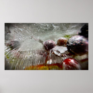 Gefrorene Beeren, Poster