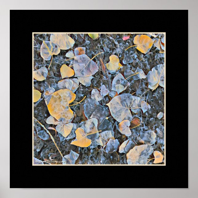 gefrorene Blätter Poster (Vorne)