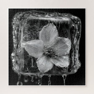 Gefrorene Blume Schmelzendes Eis