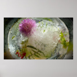 Gefrorene Blüten, Poster