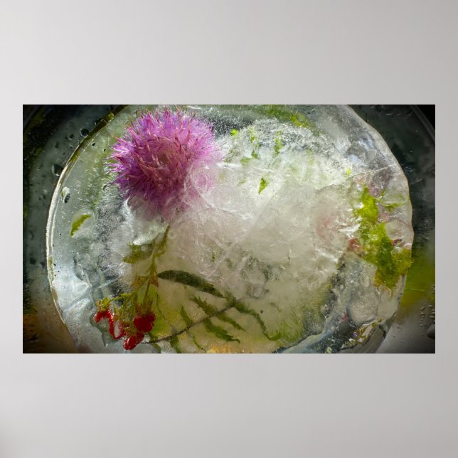 Gefrorene Blüten,  Poster (Vorne)