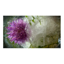 Gefrorene Blüten,