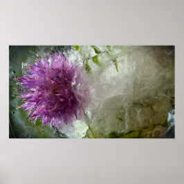 Gefrorene Blüten, Poster