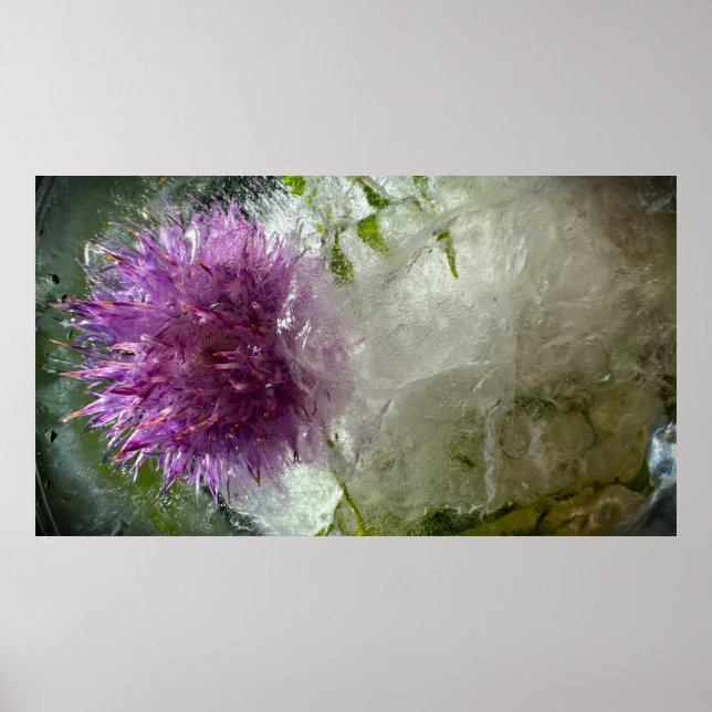 Gefrorene Blüten,  Poster (Vorne)