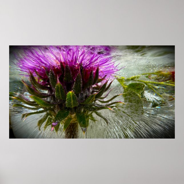 Gefrorene Blüten,  Poster (Vorne)