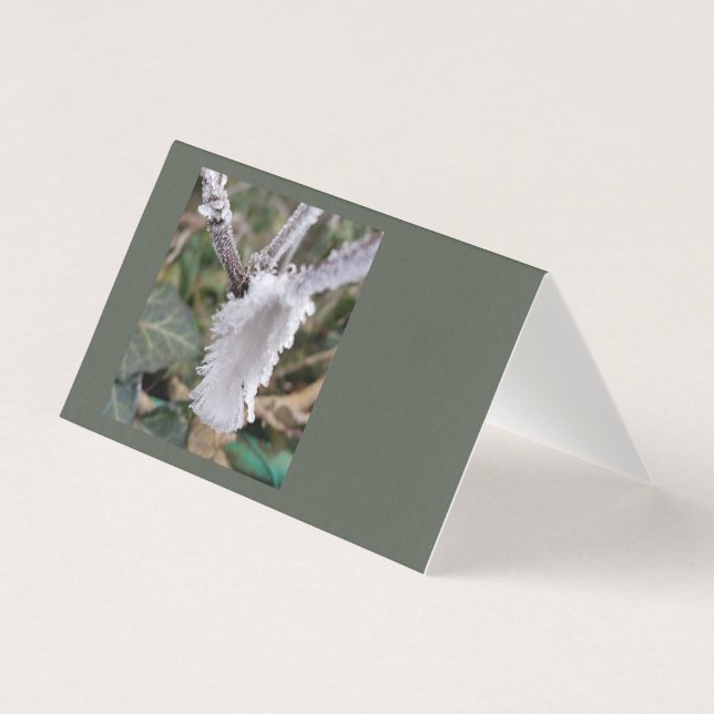 gefrorene Feder (Vorderseite)