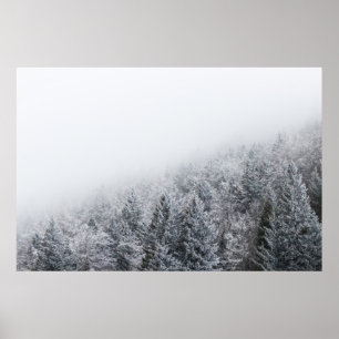 Gefrorener Wald Poster