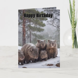 Gefrorenes Bau: Australische Wombat-Familie, Gebur Karte