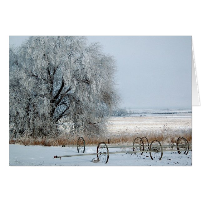 Gefrorenes Feld (Vorderseite (Horizontal))