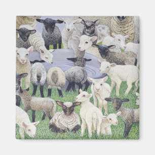 Gefühl ängstlich magnet