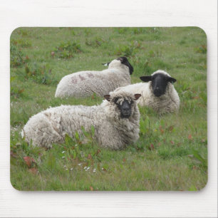 Gefühl ängstlich mousepad