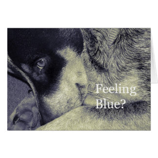 Gefühl Blue