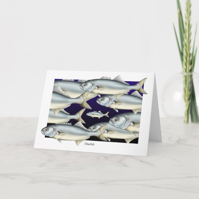 Gefühl Blue Bluefish Grußkarte Karte (Vorderseite)