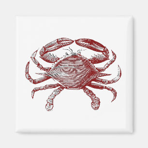Gefühl Crabby Roter Stift Krebs Kunst Magnet