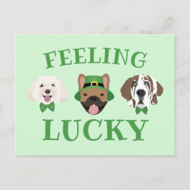 Gefühl Lucky St Patricks Day Dog Faces Postkarte